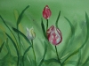 Tulpen in aquarel