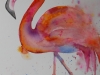 Aquarel Cursist Flamingo