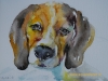 aquarel - Joke Klootwijk hondje schetsboek pagina