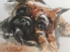 aquarel sketchbook page Dog
