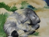 Aquarel  anneke