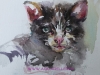 aquarelschetsboekpagina "Poesje"