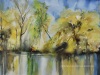 Aquarel-Joke-Klootwijk-Spiegeling te koop