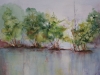 Aquarel De ooijpolder