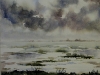 Aquarel water-op-het-land