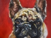 Hond Bulley opdrachtschilderij