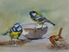 aquarel-3-vogels-met-bakje te koop